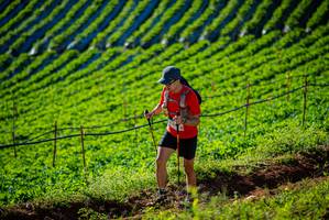 BIB: 
                            <button type="button" onclick="openModal(19160446)" class="btn btn-primary btn-sm float-right btn-popup" data-toggle="modal" data-target=".modal-high-quality">
                        <i class="fas fa-shopping-cart"></i> Add to Cart
                    </button>
                                            <button type="button" onclick="isThisMe(19160446, true)" class="btn btn-success btn-sm float-right btn-popup btn-isme hidden" data-toggle="tooltip" data-placement="bottom" title="นี่คือรูปของคุณใช่ไหม คลิกที่นี่เพื่อเอาเข้าอัลบั้ม">
                        <i class="fas fa-plus"></i> Add to album
                    </button>
                    <button type="button" onclick="isThisMe(19160446, false)" class="btn btn-warning btn-sm float-right btn-popup btn-isnotme hidden">
                        <i class="fas fa-ban"></i> Remove from album
                    </button>